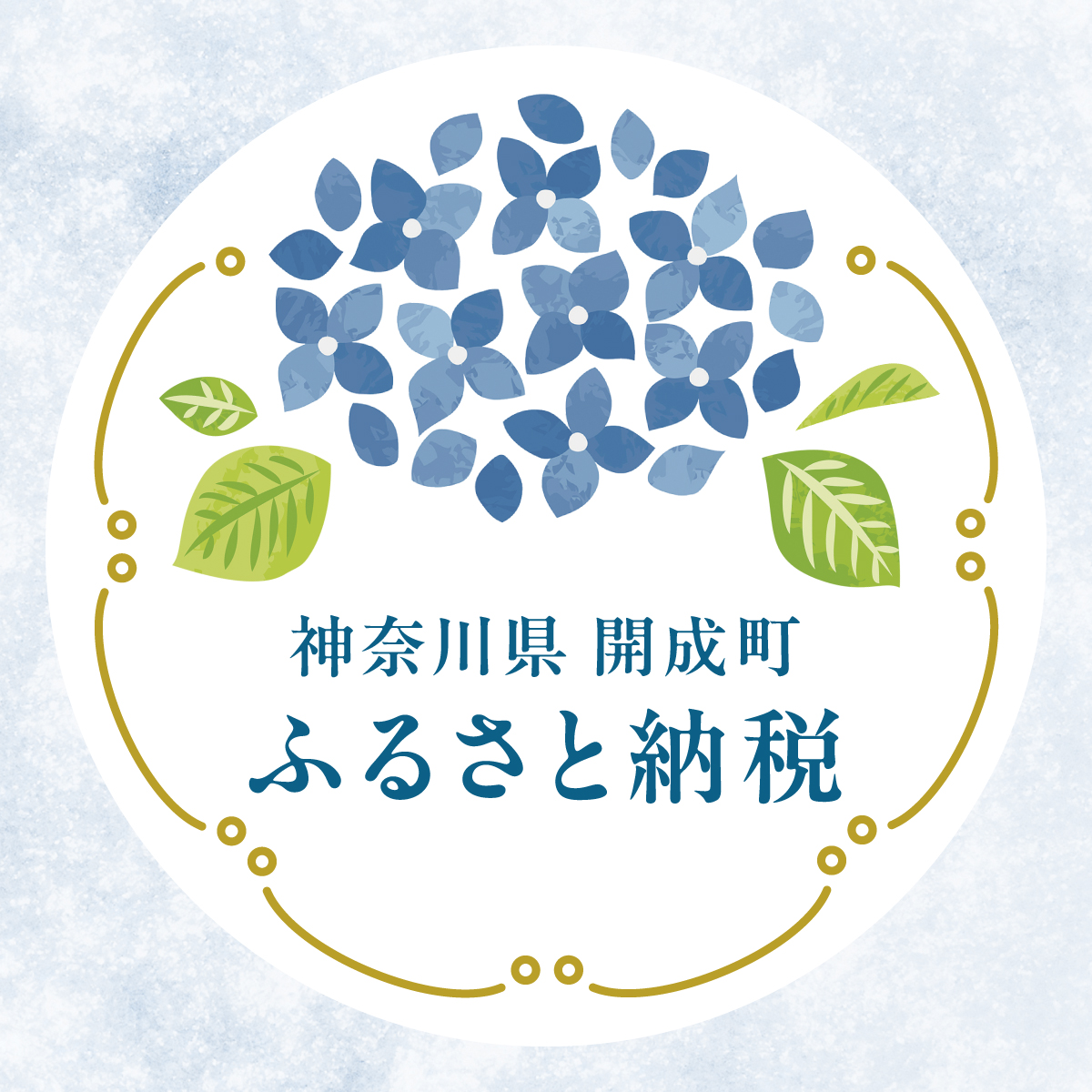 返礼品の写真