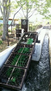 県内初　らせん型水車の画像