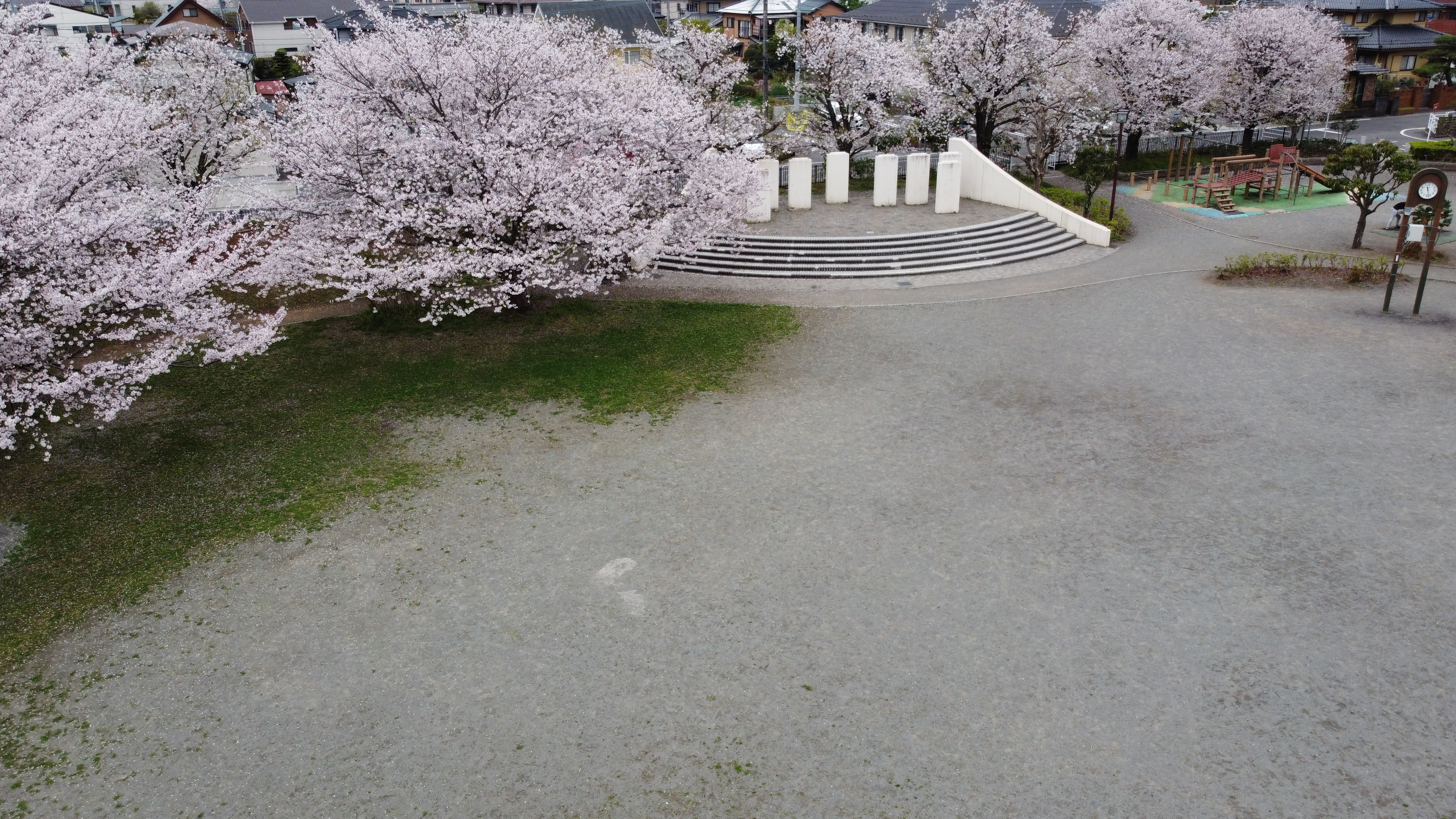 公園全景