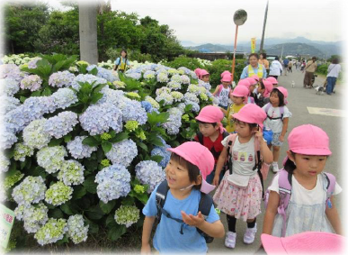 園庭での水遊びの画像
