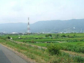 酒匂川サイクリングロード